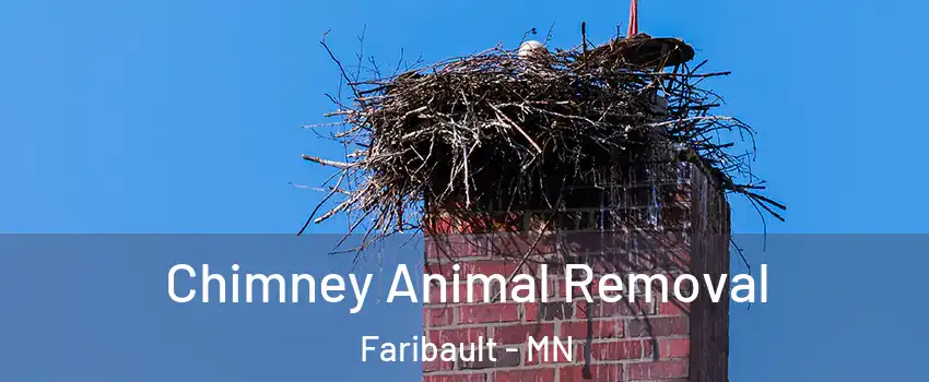 Chimney Animal Removal Faribault - MN