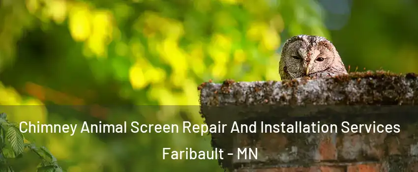  Chimney Animal Screen Repair And Installation Services Faribault - MN