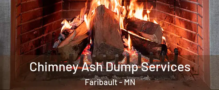  Chimney Ash Dump Services Faribault - MN