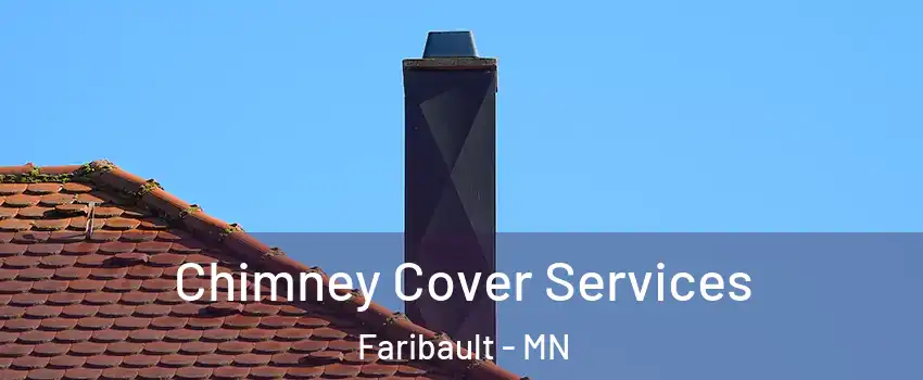  Chimney Cover Services Faribault - MN
