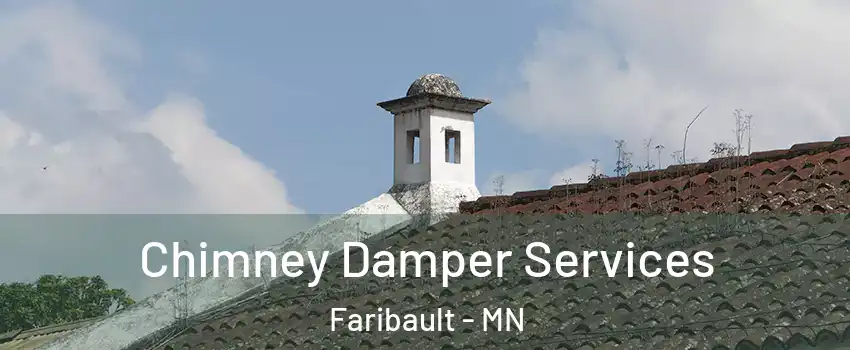  Chimney Damper Services Faribault - MN