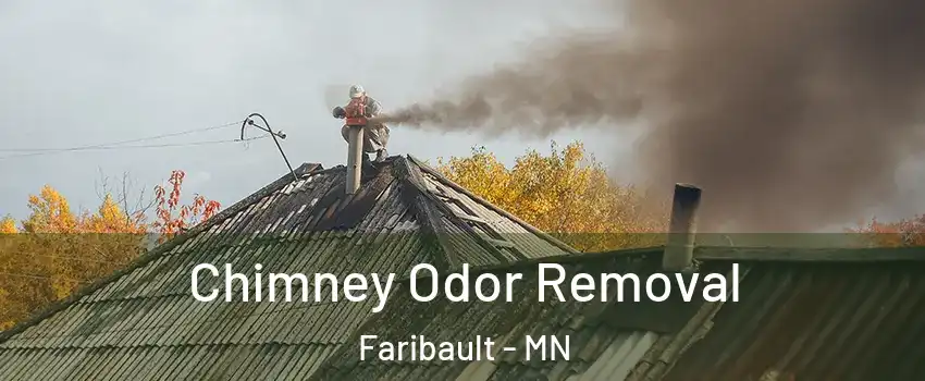  Chimney Odor Removal Faribault - MN