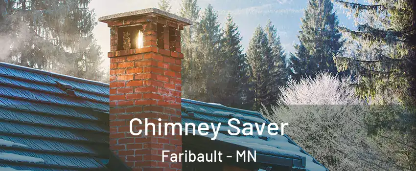  Chimney Saver Faribault - MN