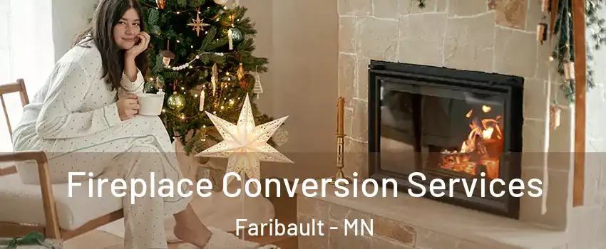  Fireplace Conversion Services Faribault - MN