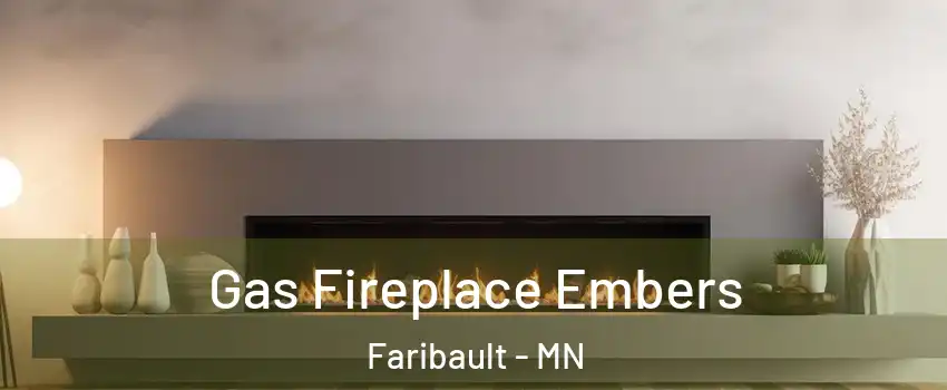  Gas Fireplace Embers Faribault - MN