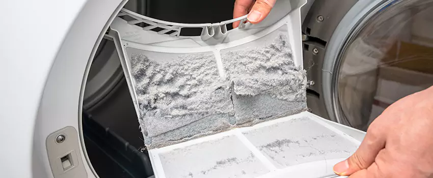 Best Dryer Lint Removal Company in Faribault, Minnesota