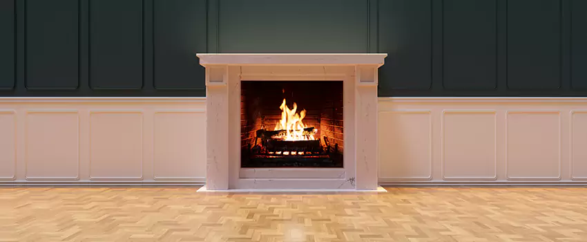 Napoleon Electric Fireplaces Inspection Service in Faribault, Minnesota