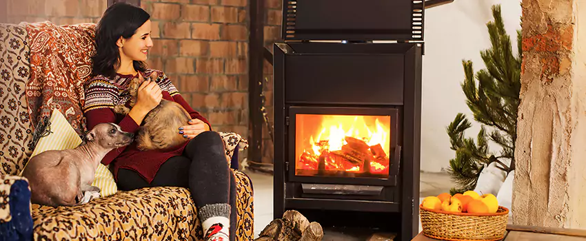 Wood Stove Chimney Cleaning Services in Faribault, MN