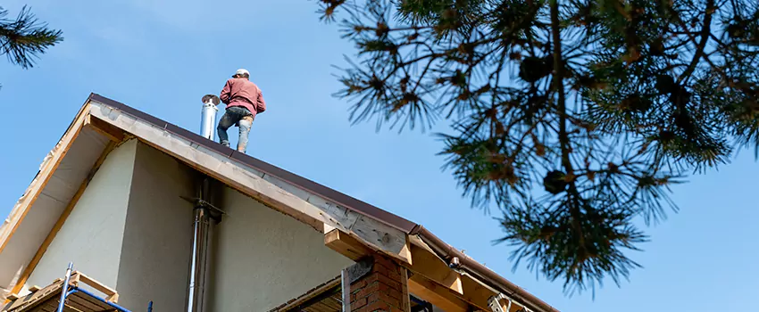 Birds Removal Contractors from Chimney in Faribault, MN