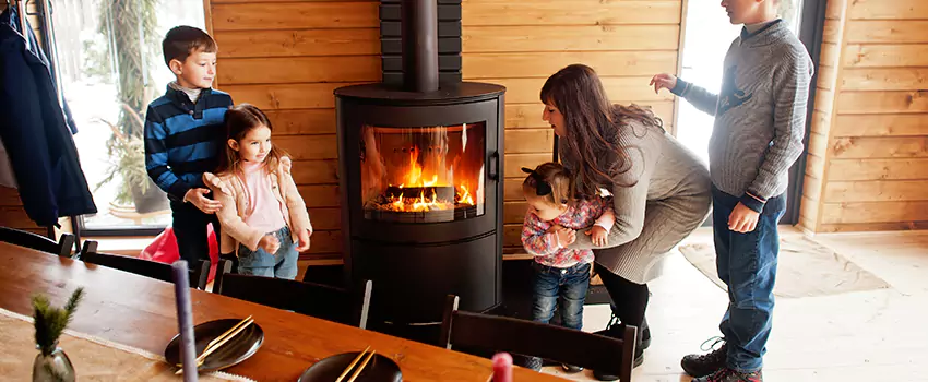 Jøtul Gas Fireplace Inspection Service in Faribault, Minnesota