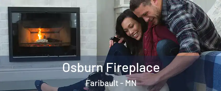  Osburn Fireplace Faribault - MN