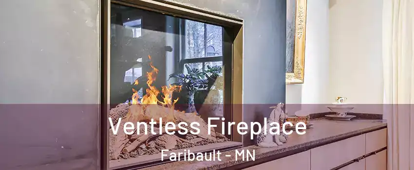  Ventless Fireplace Faribault - MN